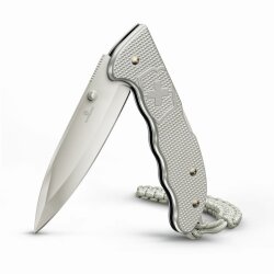 Victorinox Evoke Alox Silver